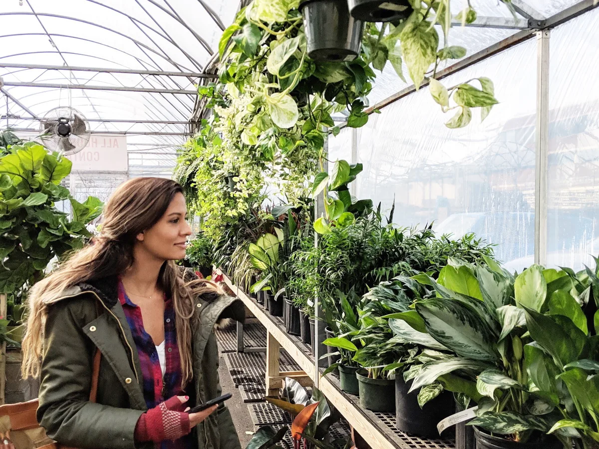 Phoenix & Rose feng shui consultant walking through a lush greenhouse